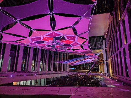 岁末收官，以膜为花 | 我们用 86 片膜材，在城市上空 “种” 出了两朵会发光的索膜之花